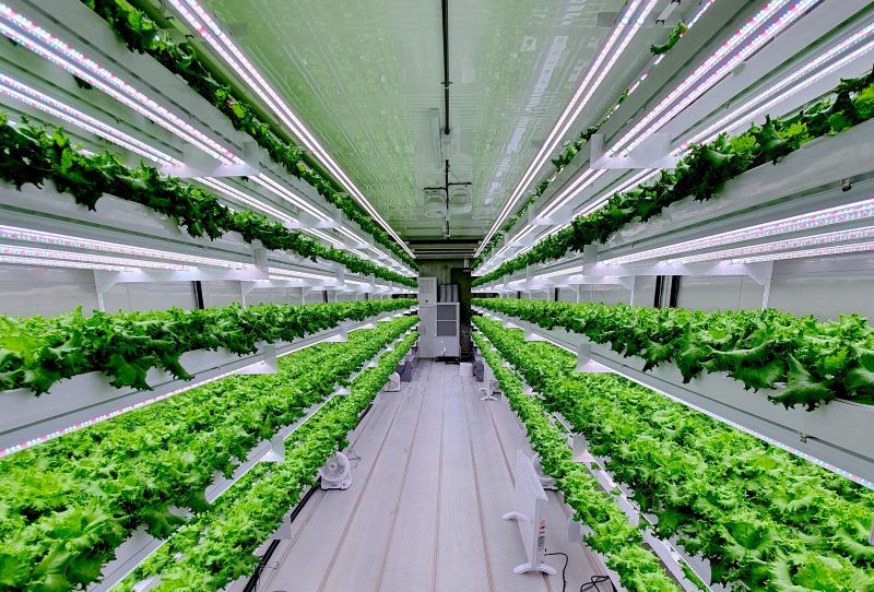 Ability to Produce Food