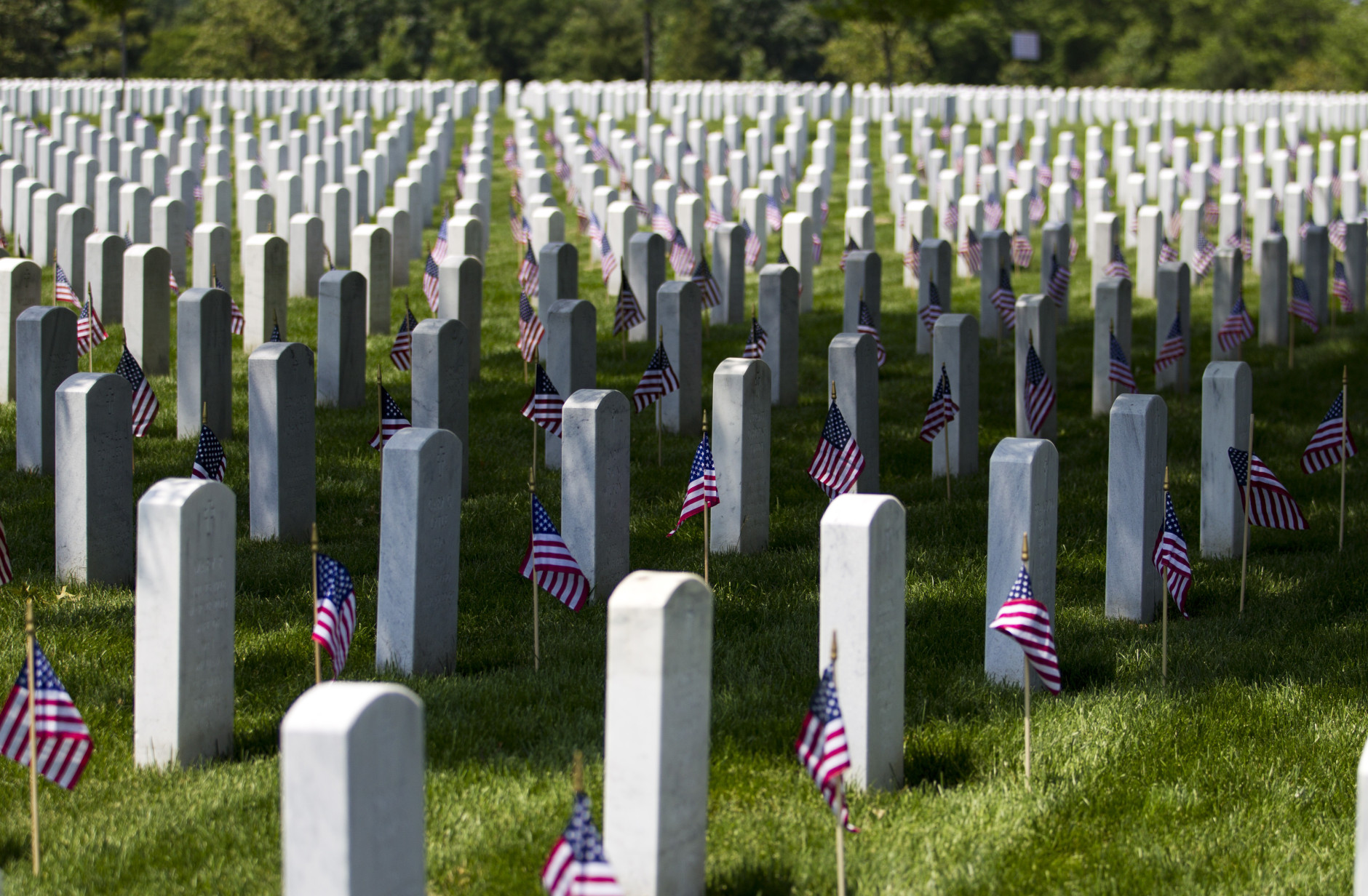 Flags at Arlington Cemetery