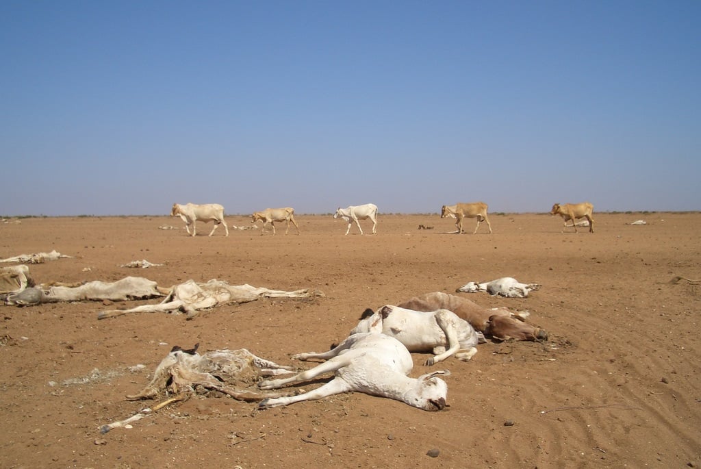 Drought Declared in the UK