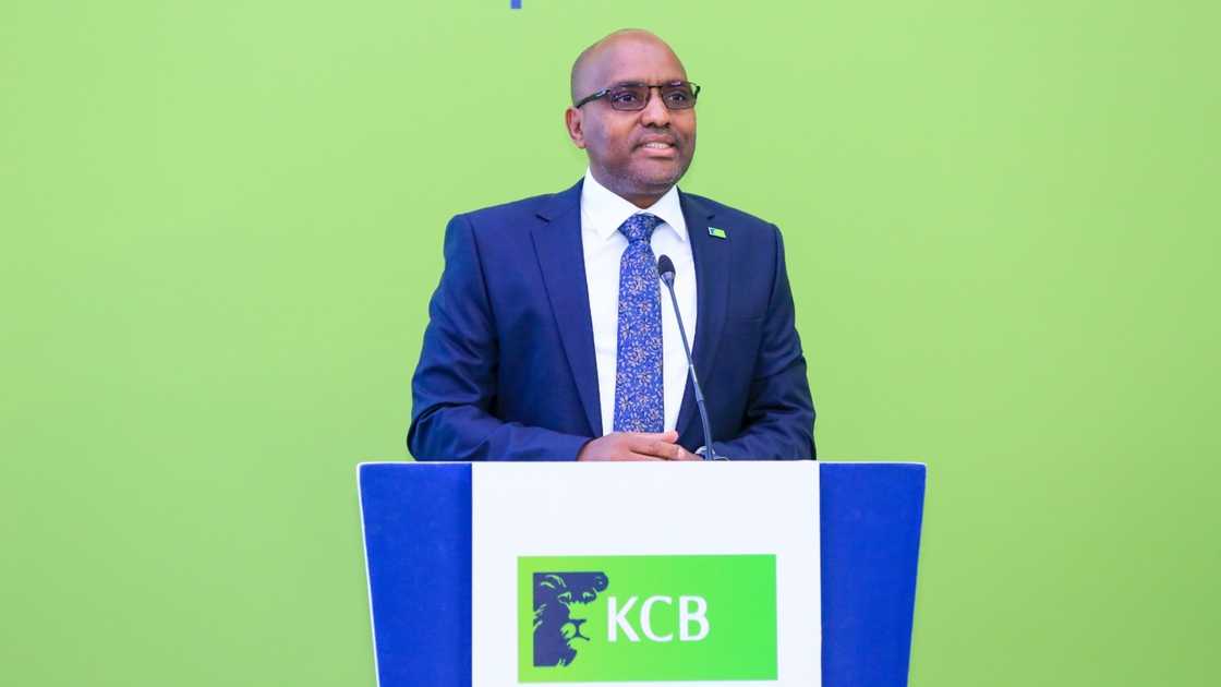 Kenya Commercial Bank Announces Managerial Jobs for Professionals