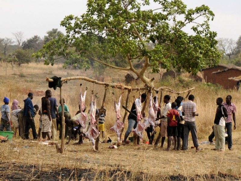 Lives in Malawi