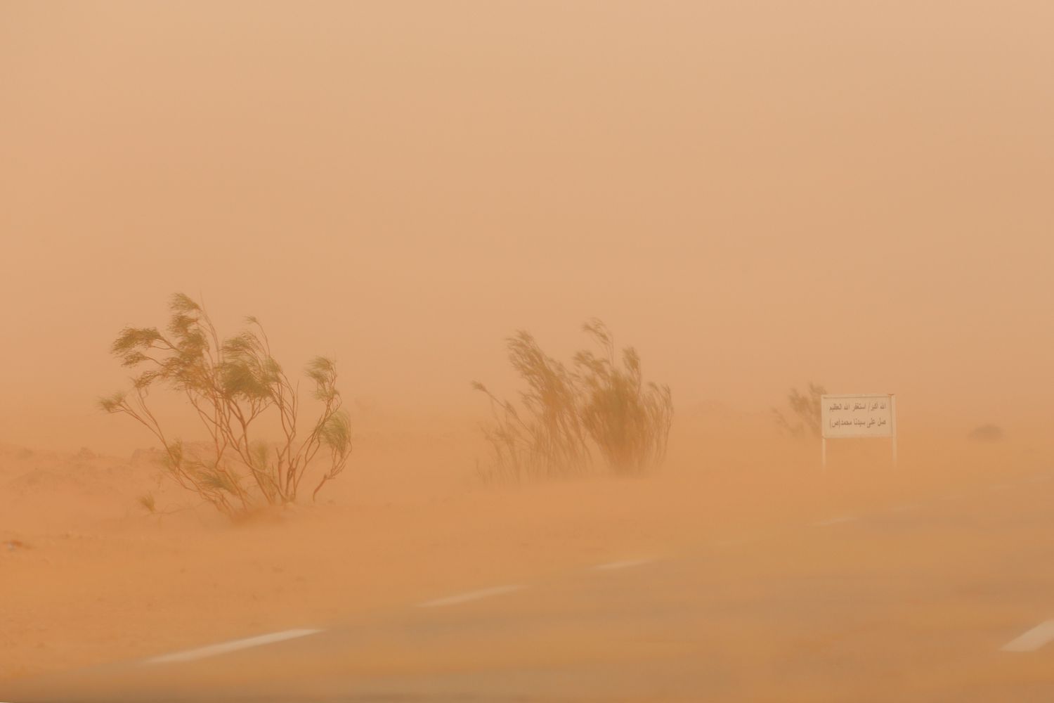 Sahara Dust