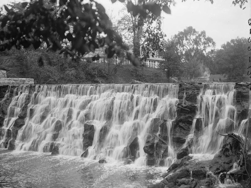 Bronx Water