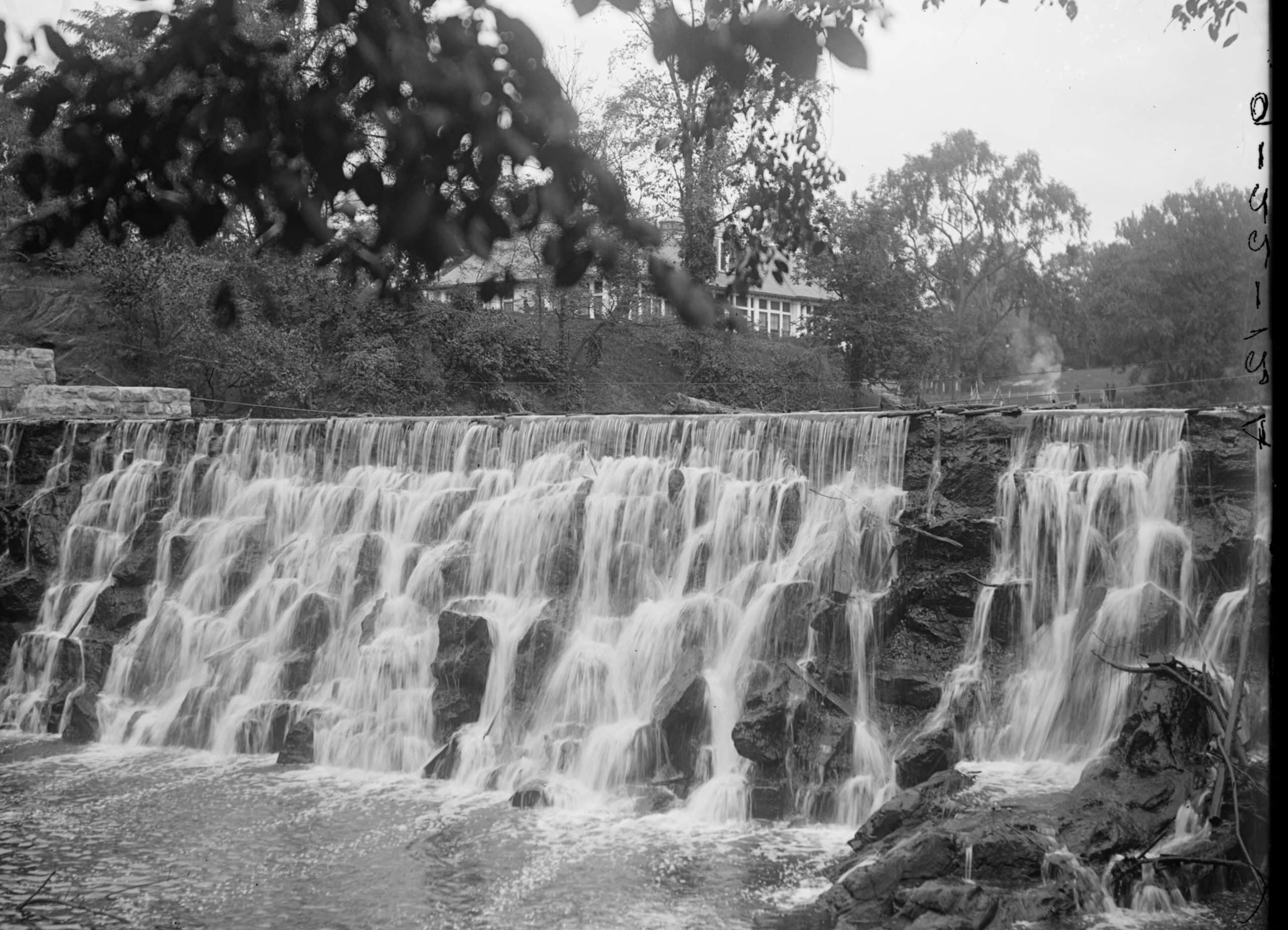 Bronx Water