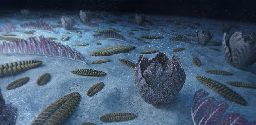Non-Human Intelligence in Earth's Oceans