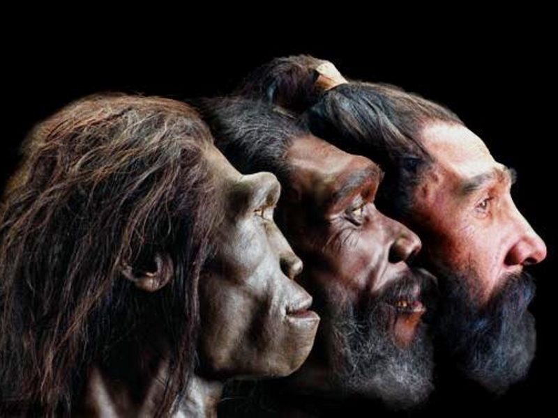 Prehistoric human beings
