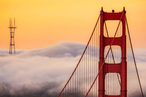 Sutro Tower Pierces San Francisco Fog